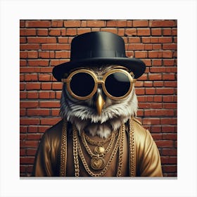 Hip Hop Owl Canvas Print