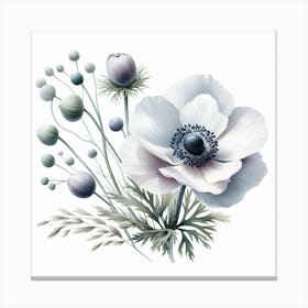 Anemones 1 Canvas Print