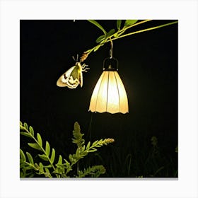 Moth On A Lamp Canvas Print