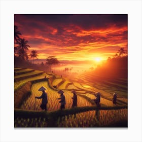 Sunrise Over Rice Fields Canvas Print