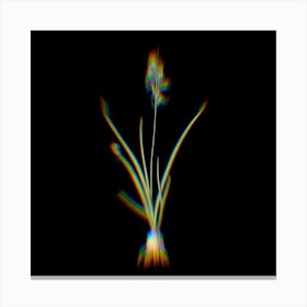 Prism Shift Hyacinthus Viridis Botanical Illustration on Black n.0006 Canvas Print