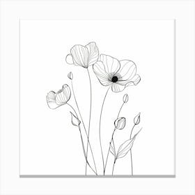 Poppies On A White Background Canvas Print