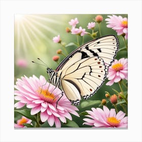Butterfly On Pink Daisies Canvas Print