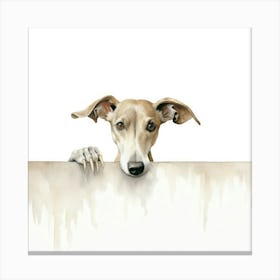 Greyhound 1 Canvas Print