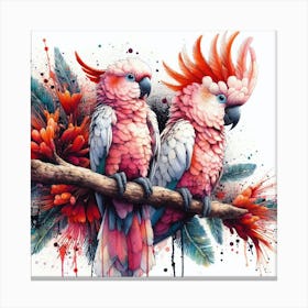 A Pair Of Salmon Crested Cockatoos 1 Canvas Print