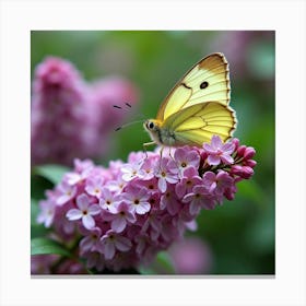 Butterfly On Lilac Flowers 1 Canvas Print