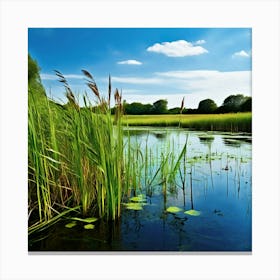 Grass Plant Vegetation Water Reed Calm Cane Season Scene Green Tranquil Background Natur (15) Canvas Print