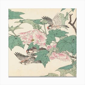 Chinese Birds And Flowers Canvas Print