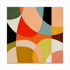 Rounded Pieces 3 Canvas Print