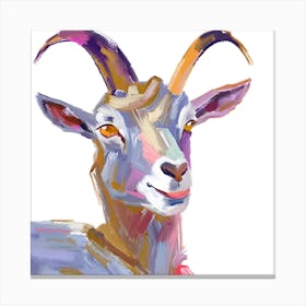 Goat 02 Canvas Print