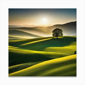 Lone Tree In A Green Field Canvas Print