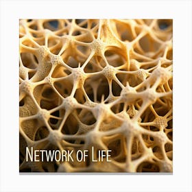 Network Of Life Canvas Print