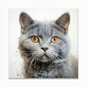 British Shorthair Cat 1 Canvas Print