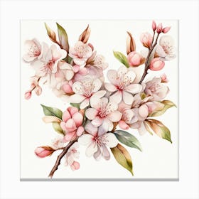 Blossoming almond branch Canvas Print