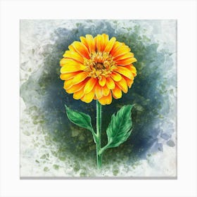 Zinnia Canvas Print