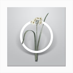 Vintage Cowslip Cupped Daffodil Minimalist Floral Geometric Circle on Soft Gray n.0240 Canvas Print