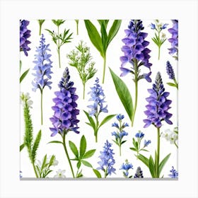 Nature Pattern Isolate White Arrangement Purple Flat Floral Blue Natural Herbal Medicine (11) Canvas Print