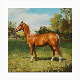 Horse In A Field Canvas Print