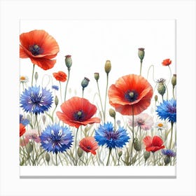 Poppies and Cornflowers 2 Canvas Print