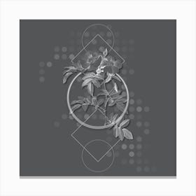 Vintage Shining Rosa Lucida Botanical with Line Motif and Dot Pattern in Ghost Gray Canvas Print