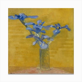 Blue Iris Canvas Print