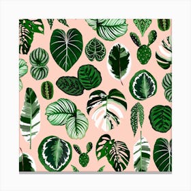 Houseplant Leaves Pattern Square Canvas Print