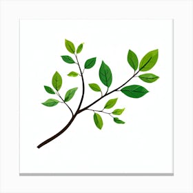 Branch Of Green Leaves Canvas Print