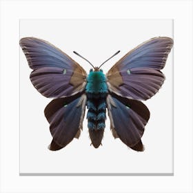 Butterfly Blue Moth 2 Canvas Print