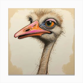 Ostrich 9 Canvas Print