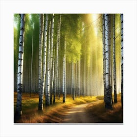 Birch Forest 31 Canvas Print