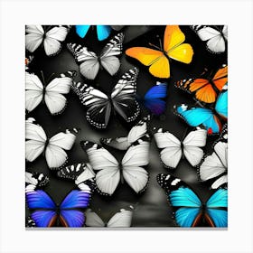 Many Butterflies On A Black Background Canvas Print