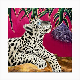 'Jaguar' Canvas Print