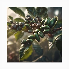 Coffee Beans On A Tree 69 Canvas Print