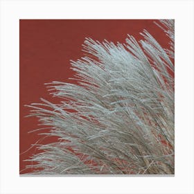 Grasses In The Wind Terracotta Square Canvas Print