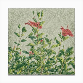 Hibiscus Canvas Print