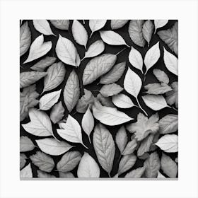 Black And White Leaves 5 Canvas Print