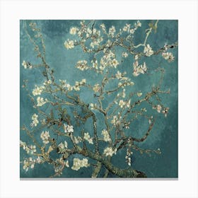 Blossoming Almond Tree 1 Canvas Print