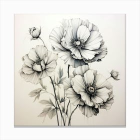 Poppy Drawing Canvas Print