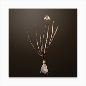 Gold Botanical Spring Squill on Chocolate Brown Canvas Print