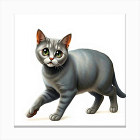 Grey Cat Walking Canvas Print