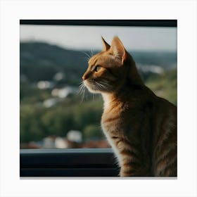 Cat Looking Out Of Window Canvas Print