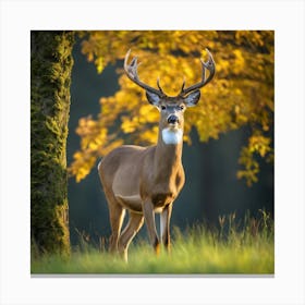 Deer In The Forest 244 Canvas Print