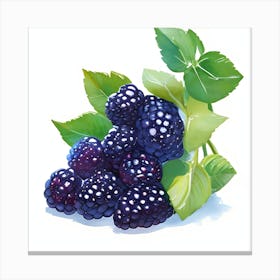 Blackberry 1 Canvas Print