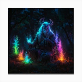 Wizard Of The Forest Canvas Print