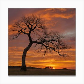 Bare Tree At Sunset Canvas Print