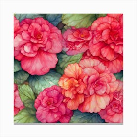 Hibiscus Canvas Print