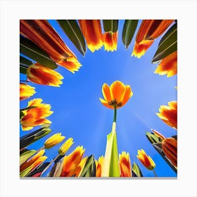 Tulips Canvas Print