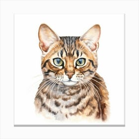 Bengal Marbled Cat Portrait 2 Canvas Print