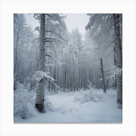 Snowy Forest Canvas Print