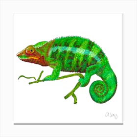 Chameleon. 1 Canvas Print